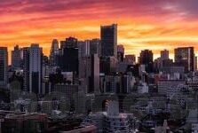 77777大象传媒视频入口-探索数字与创意的交汇，77777与大象传媒视频的独特魅力