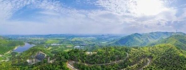 大象传媒免费进入网址-探索大象传媒的免费资源，解锁无限创意的钥匙
