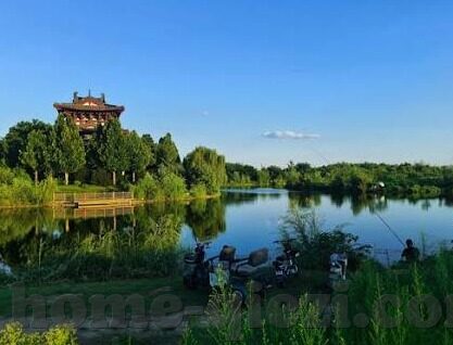 红杏视频麻豆-破晓与光，透视红杏视频与麻豆现象的深度理解