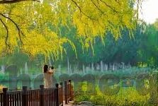 寂寞人妻的等待-寂寞人妻的漫长等待，爱与孤独的交响曲