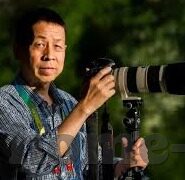 麻豆传媒映画公司-光影背后的静谧——麻豆传媒映画公司创作的艺术与思考