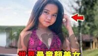 麻豆视传媒免费官网视频在线观看-麻豆视传媒，揭秘无需付费的在线视频殿堂