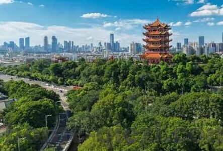 麻豆视频下载安装app-探索娱乐新境界，麻豆视频的便捷下载与安装体验