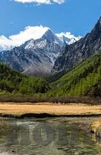 麻豆永久免费视频-当然可以实话实说，关于麻豆永久免费视频的实用性及合法合规性质讨论