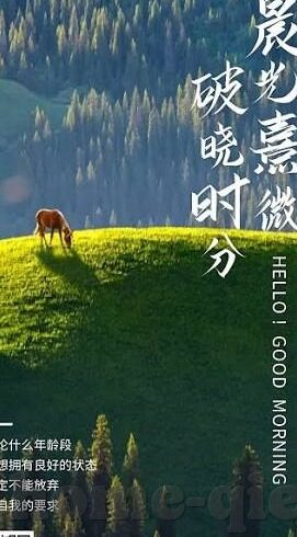 糖心vlog小橙书-照亮平凡生活的温暖光点，糖心小橙书Vlog的温馨启示录
