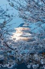 www.91麻豆av-面对这一问题，可从以下几方面着手