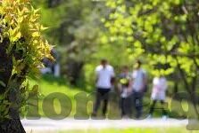 亚洲国产欧美一区二区三区-探索亚洲影视文化的多元视角，从国产到欧美一区二区三区的深度体验