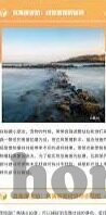 最新成人手机在线视频播放-探索成人手机在线视频播放的多元化趋势与影响